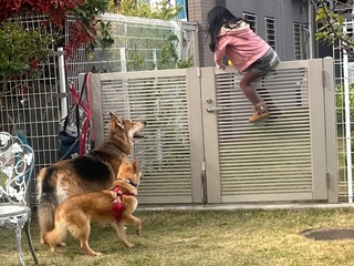 2430F247-E1A5-44E1-83C8-14185B715A23.jpeg