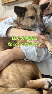 �X�N���[���V���b�g 2025-12-12 12.41.33.jpg