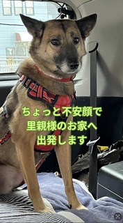 �X�N���[���V���b�g 2025-12-12 12.42.01.jpg