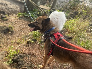 IMG_3949.jpeg