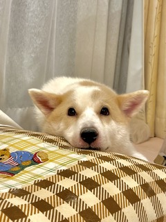 IMG_3988.JPG