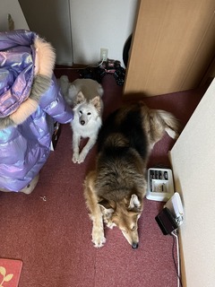 IMG_7256.jpeg