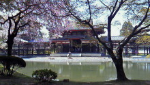 t02200124_0800045010925283004.jpg