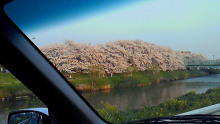 t02200124_0800045010925299965.jpg