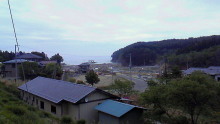 t02200124_0800045011251061713.jpg