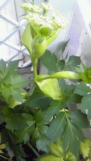 t02200391_0480085410925095593.jpg