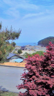 t02200391_0480085411251061150.jpg